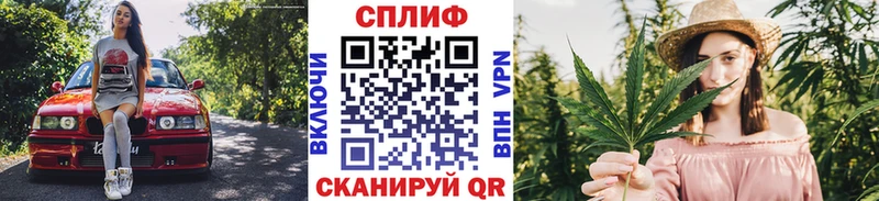 наркотики  Тбилисская  Шишки марихуана гибрид 